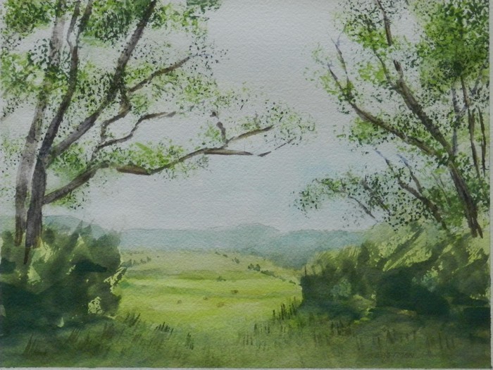 View of Field, Elk Creek, VA.jpg
